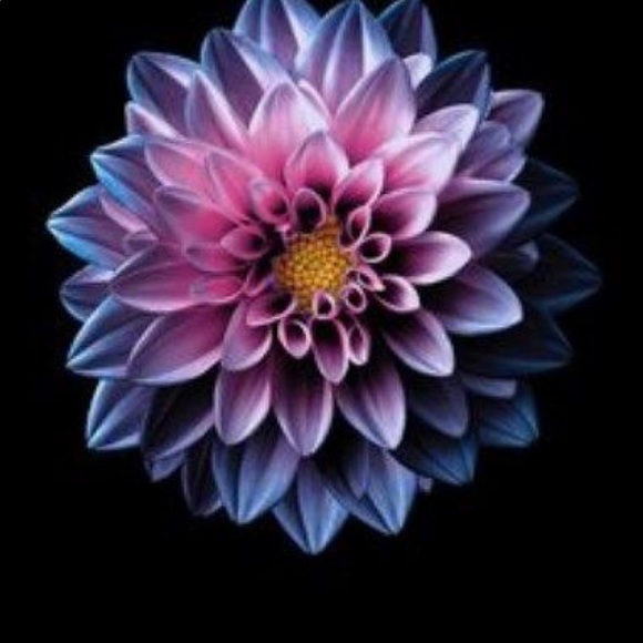 Meet your Posher, Nicole - Picture 1 of 1